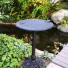 Backyard Habitat * | Gsc English Ivy Birdbath