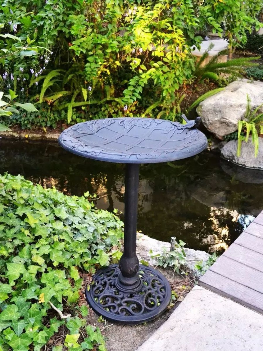 Backyard Habitat * | Gsc English Ivy Birdbath