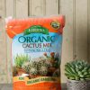 Indoor Garden * | Gsc Espoma Cactus Potting Mix, 4 Quart