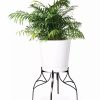 Indoor Garden * | Gsc Aubrey Adjustable Plant Stand