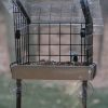 Backyard Habitat * | Gsc Birds Choice Window Mount Bird Feeder Kits