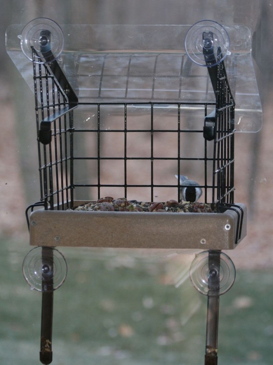 Backyard Habitat * | Gsc Birds Choice Window Mount Bird Feeder Kits