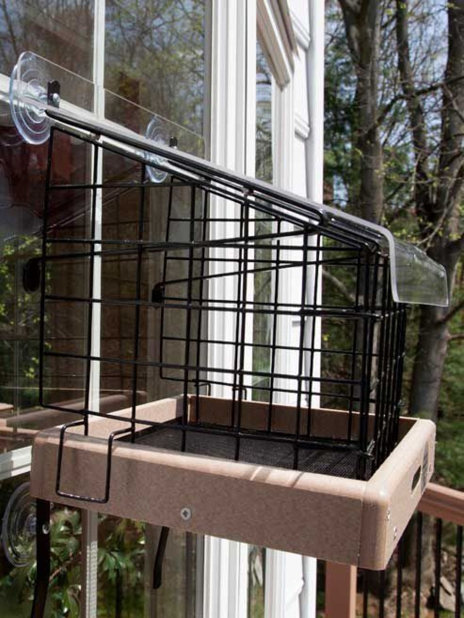 Backyard Habitat * | Gsc Birds Choice Window Mount Bird Feeder Kits