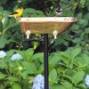 Backyard Habitat * | Gsc Copper Bathtub Birdbath