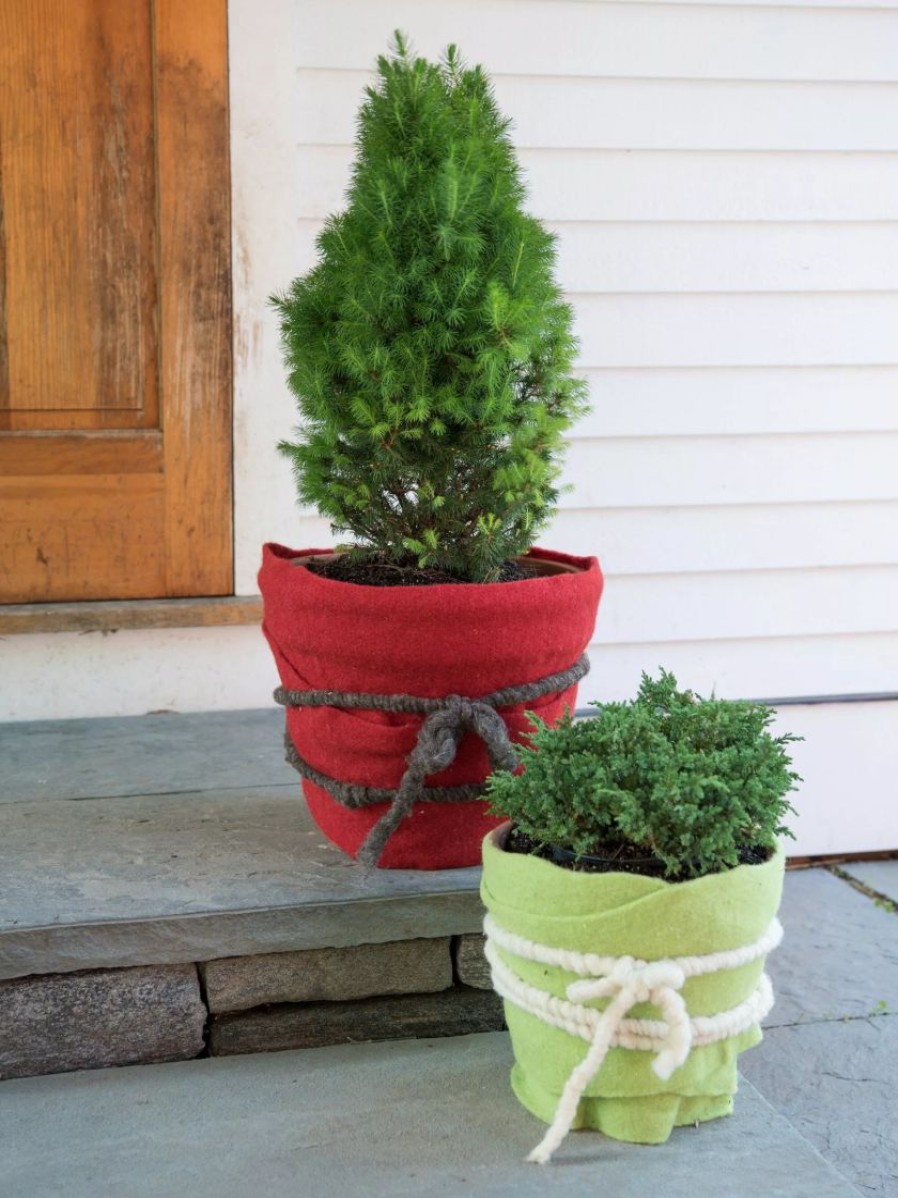 Season Extenders * | Gsc Gardenwool Plant Wrap