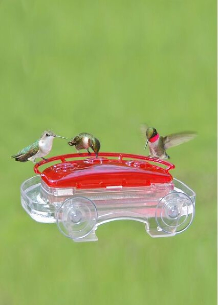 Backyard Habitat * | Gsc Window Hummingbird Feeder