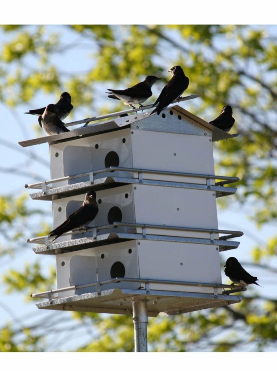 Backyard Habitat * | Gsc Coates Purple Martin House 3-Floor