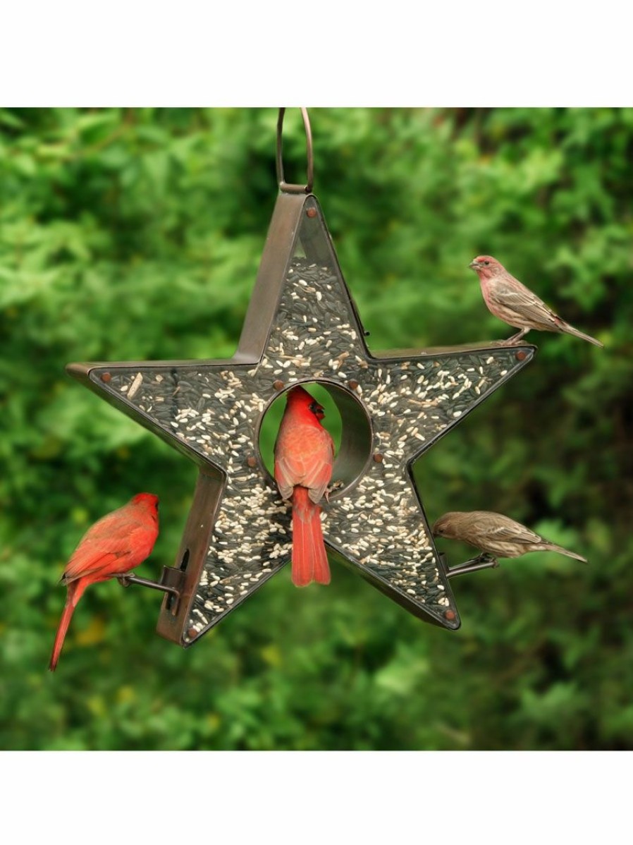 Backyard Habitat * | Gsc Star Fly-Thru Bird Feeder