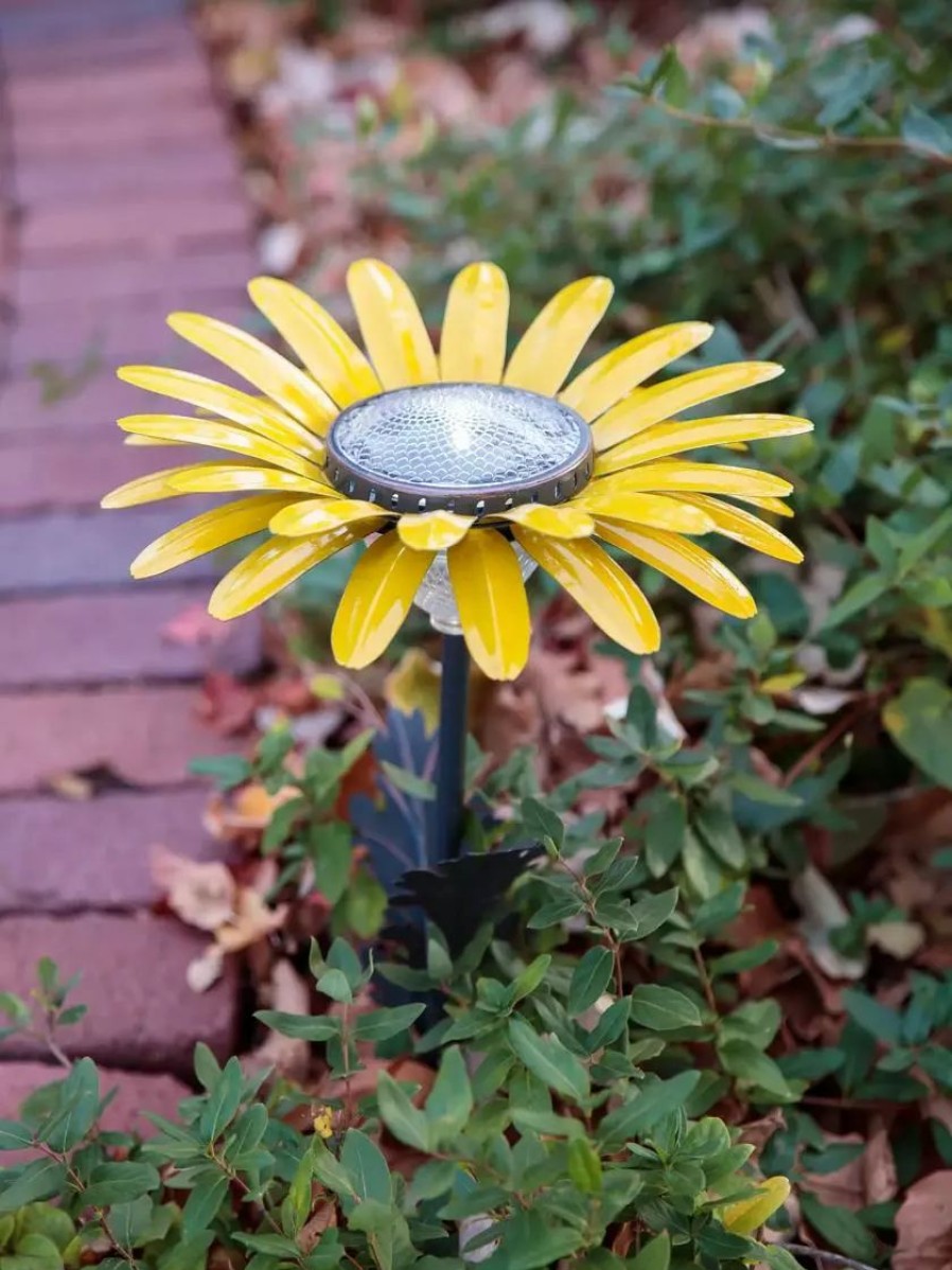 Yard & Garden Decor * | Gsc Desert Steel Daisy Solar Light