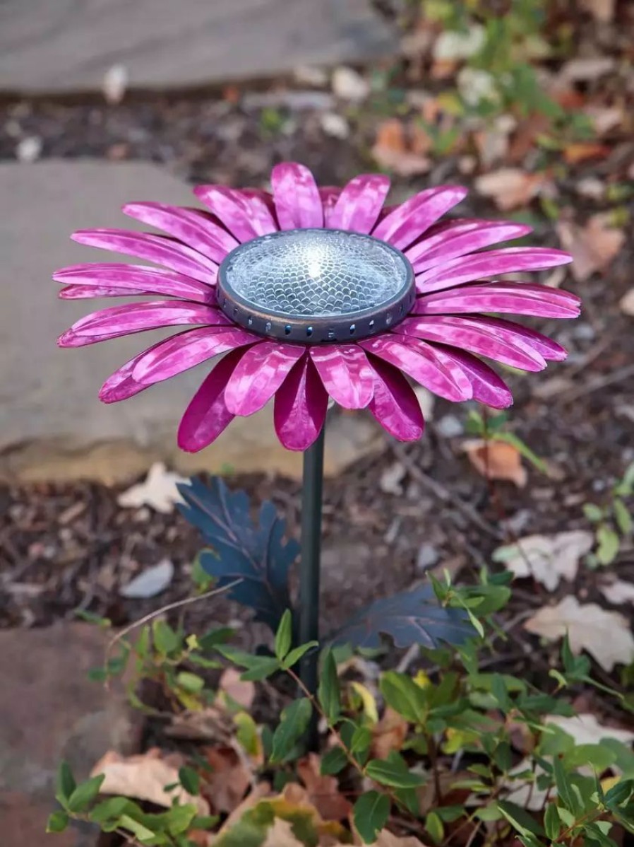 Yard & Garden Decor * | Gsc Desert Steel Daisy Solar Light