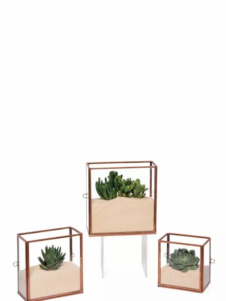 Indoor Garden * | Gsc Copper And Glass Terrariums, Set Of 3