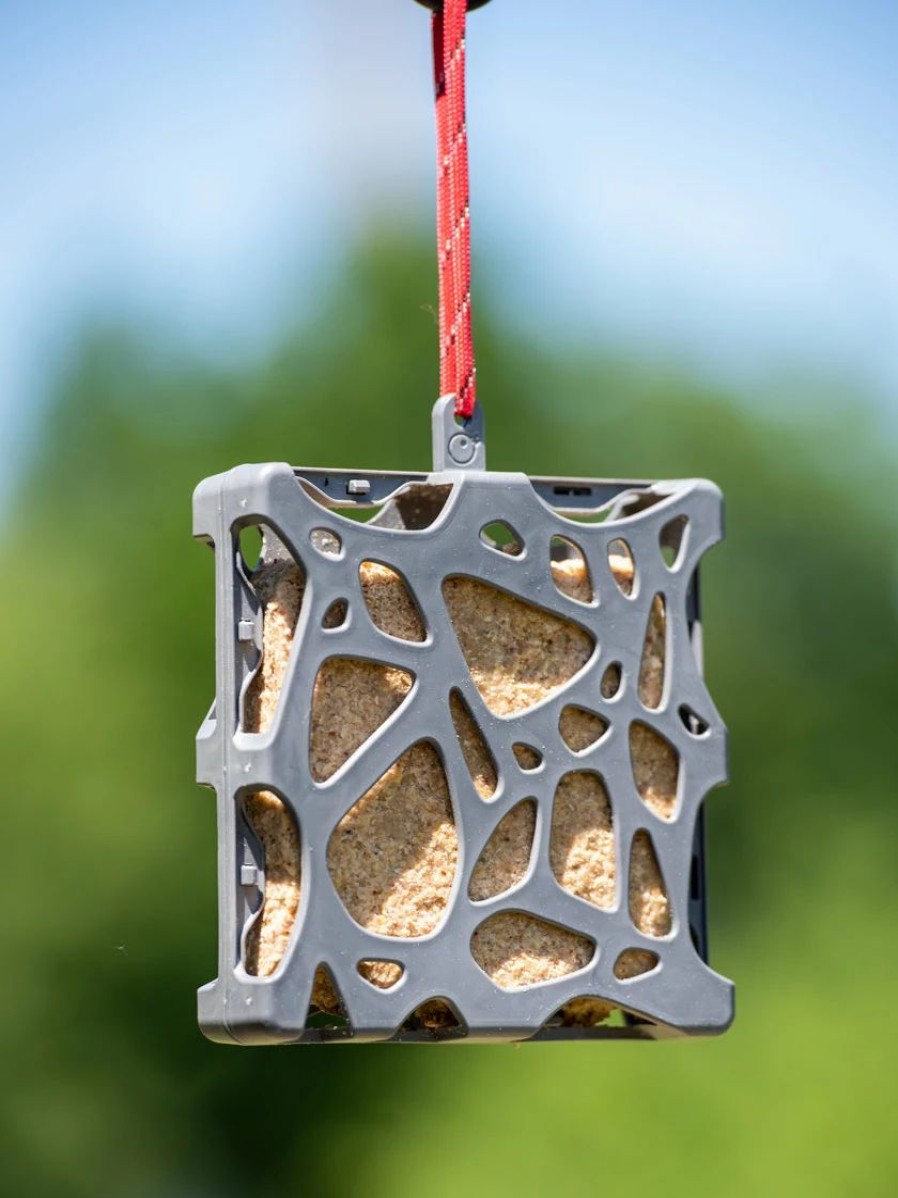 Backyard Habitat * | Gsc Suet Cake Feeder