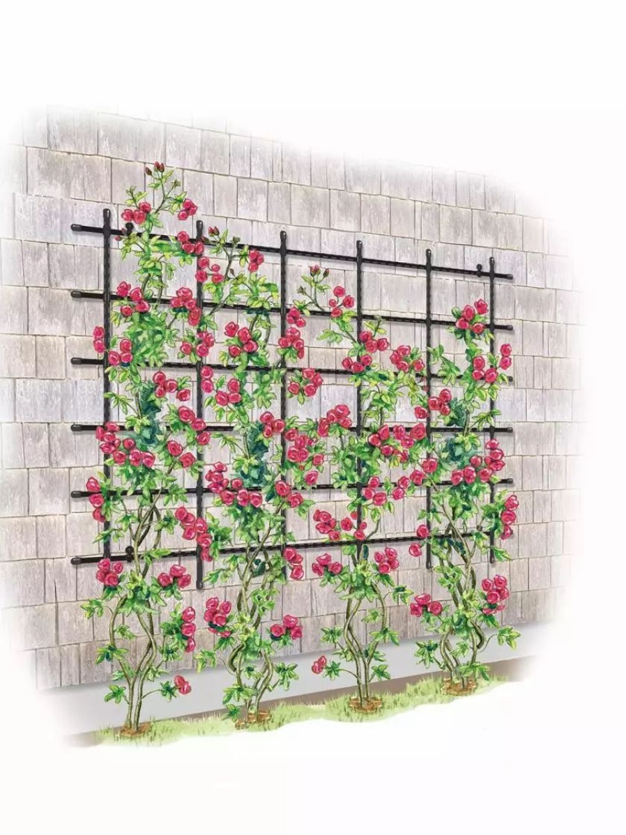 Yard & Garden Decor * | Gsc Titan Customizable Wall Trellis