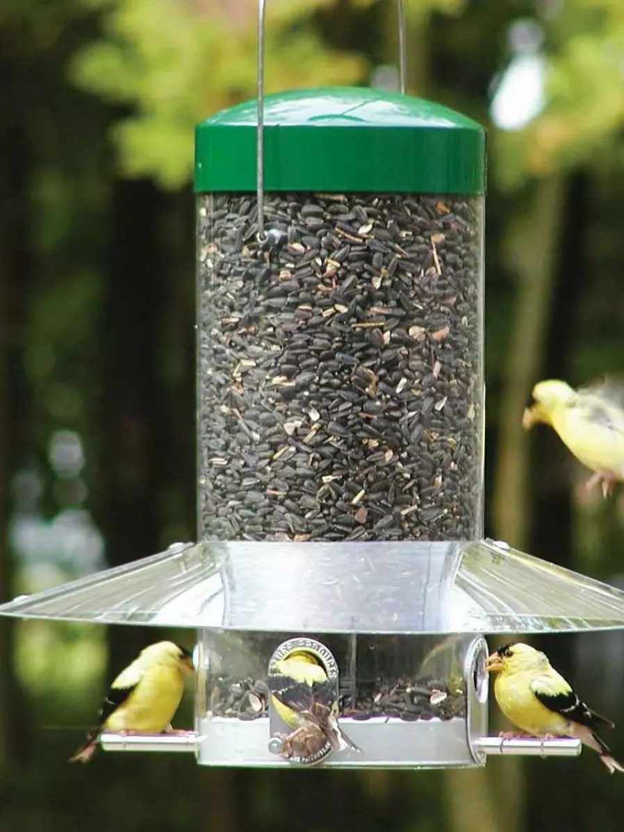 Backyard Habitat * | Gsc Birds Choice Classic Tube Feeder With Weather Guard Baffle, 12