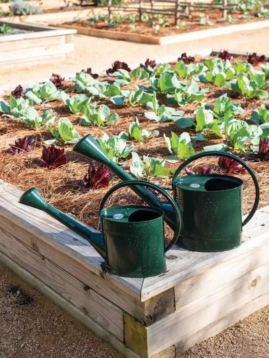 Watering & Irrigation * | Gsc Long Reach Watering Can, Medium Green