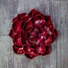 Yard & Garden Decor * | Gsc Desert Steel Ruby Rose Succulent Sculpture, Small