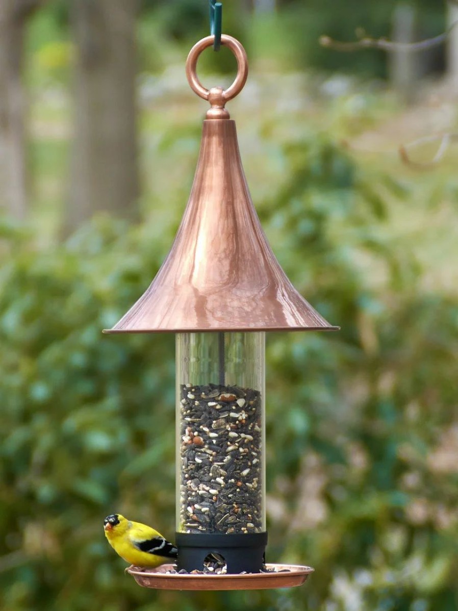 Backyard Habitat * | Gsc Castella Bird Feeder