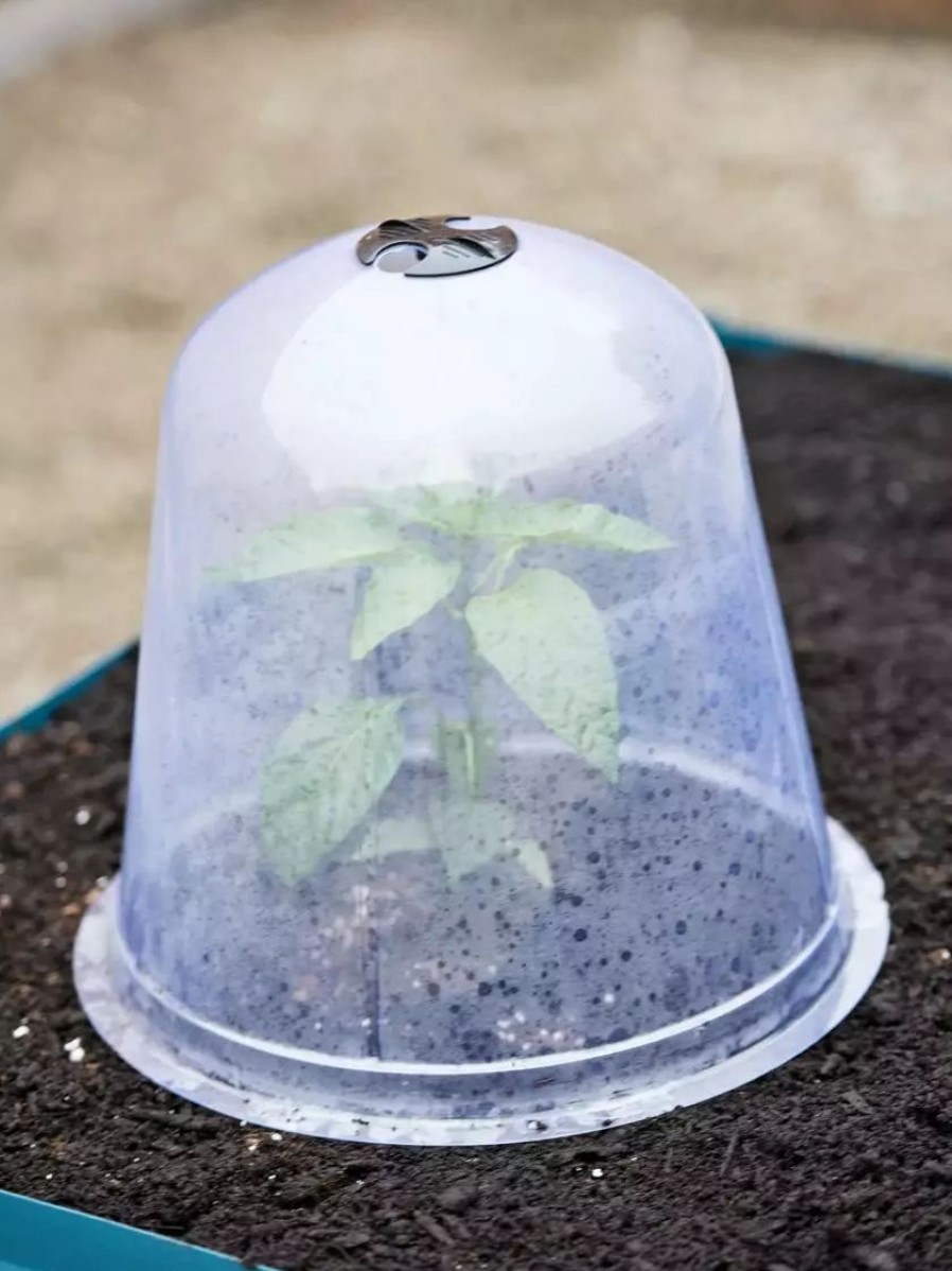 Season Extenders * | Gsc Large Garden Cloches, Set Of 3