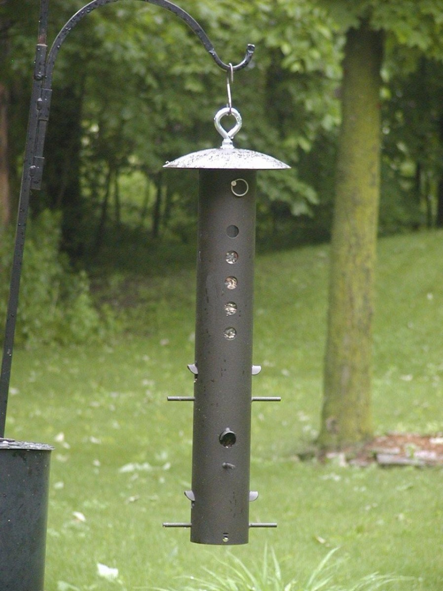 Backyard Habitat * | Gsc Birds Choice Bear-Proof Feeder