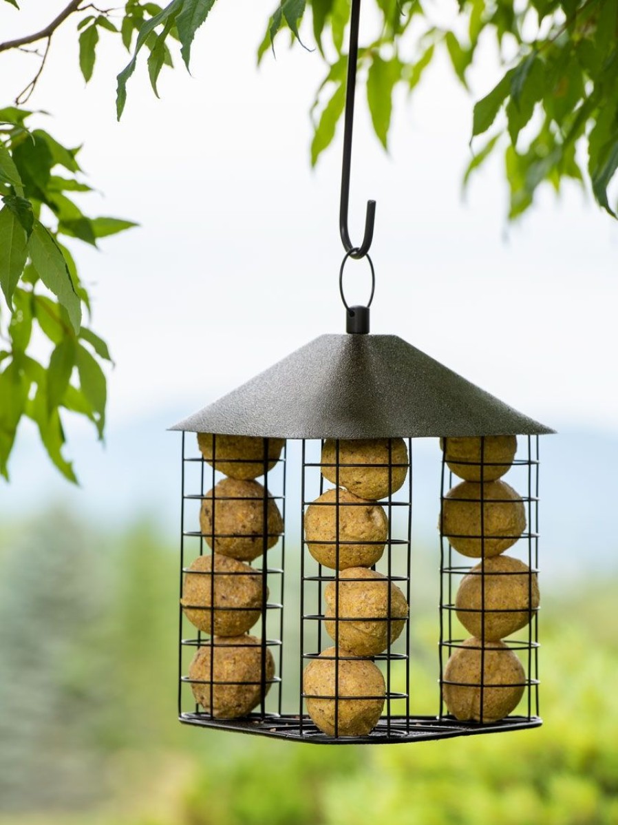 Backyard Habitat * | Gsc Fly-Through Suet Ball Feeder