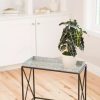 Indoor Garden * | Gsc Plant Stand With Galvanized Tray