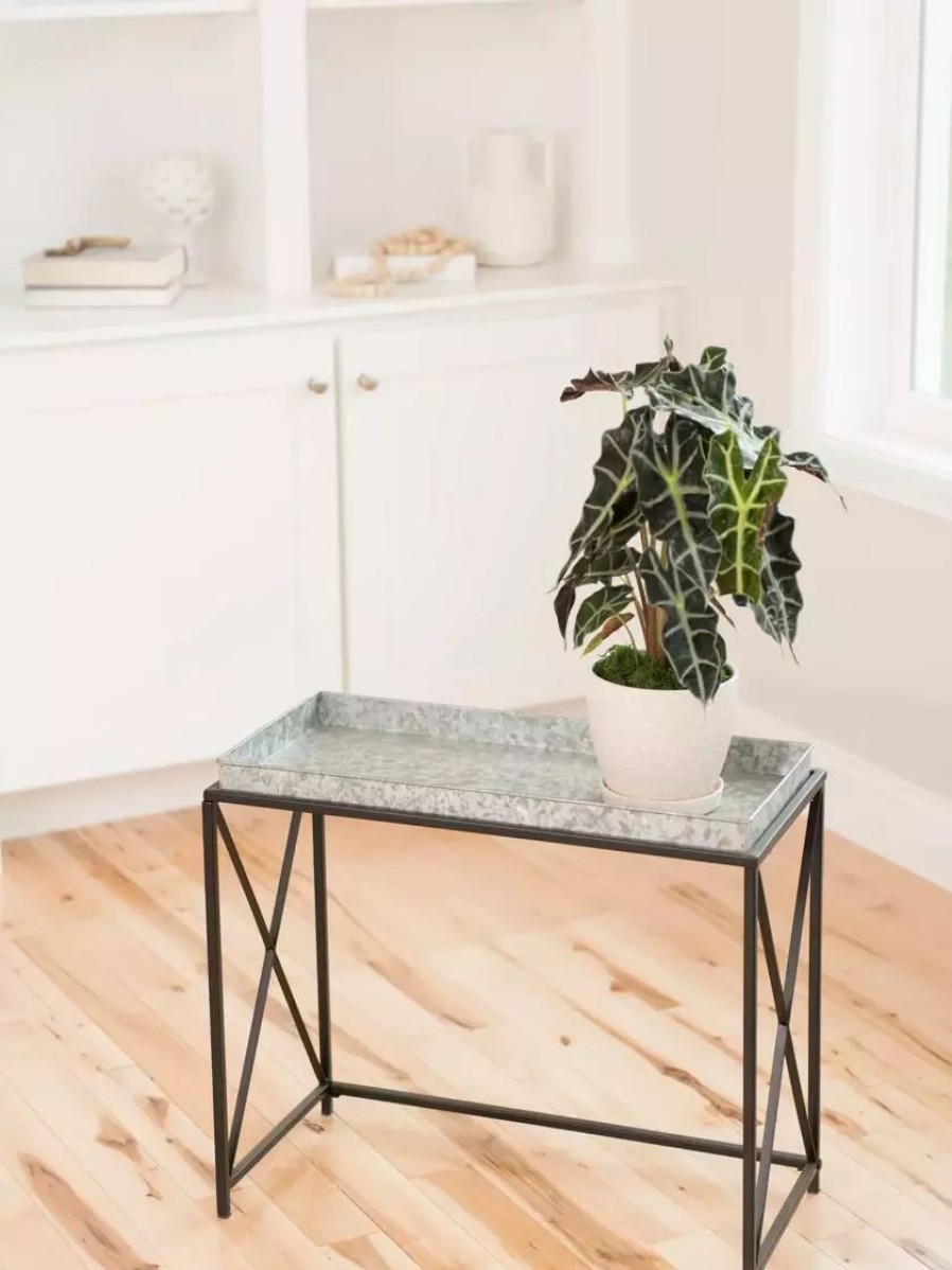 Indoor Garden * | Gsc Plant Stand With Galvanized Tray