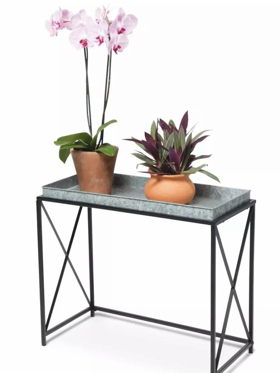 Indoor Garden * | Gsc Plant Stand With Galvanized Tray