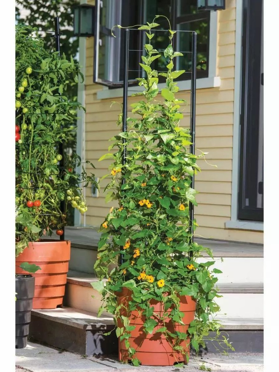 Yard & Garden Decor * | Gsc Vine Trellis For Gardener'S Victory Self-Watering Planter With Support System