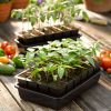 Indoor Garden * | Gsc Growease Seed Starter Kit