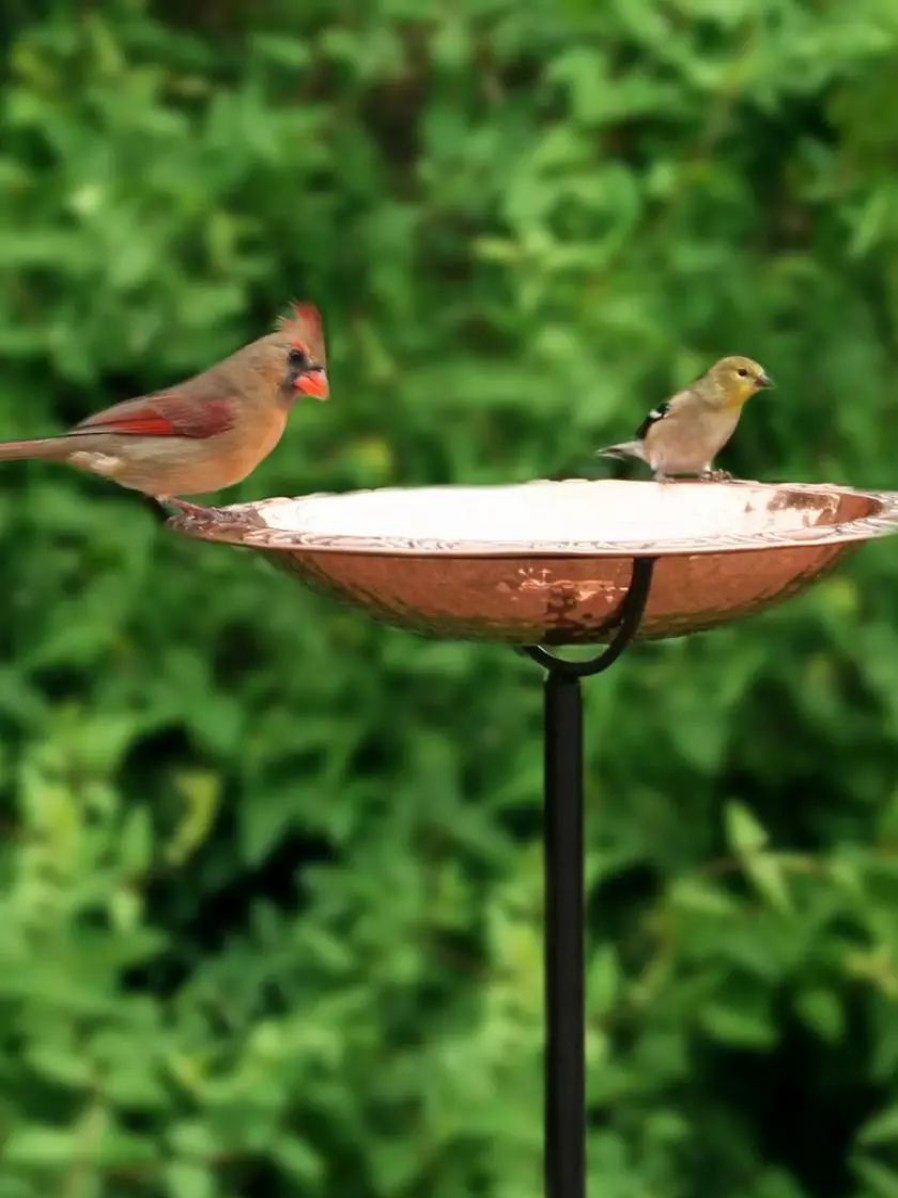 Backyard Habitat * | Gsc Copper Birdbath With Stake