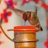 Backyard Habitat * | Gsc Copper Hummingbird Feeder