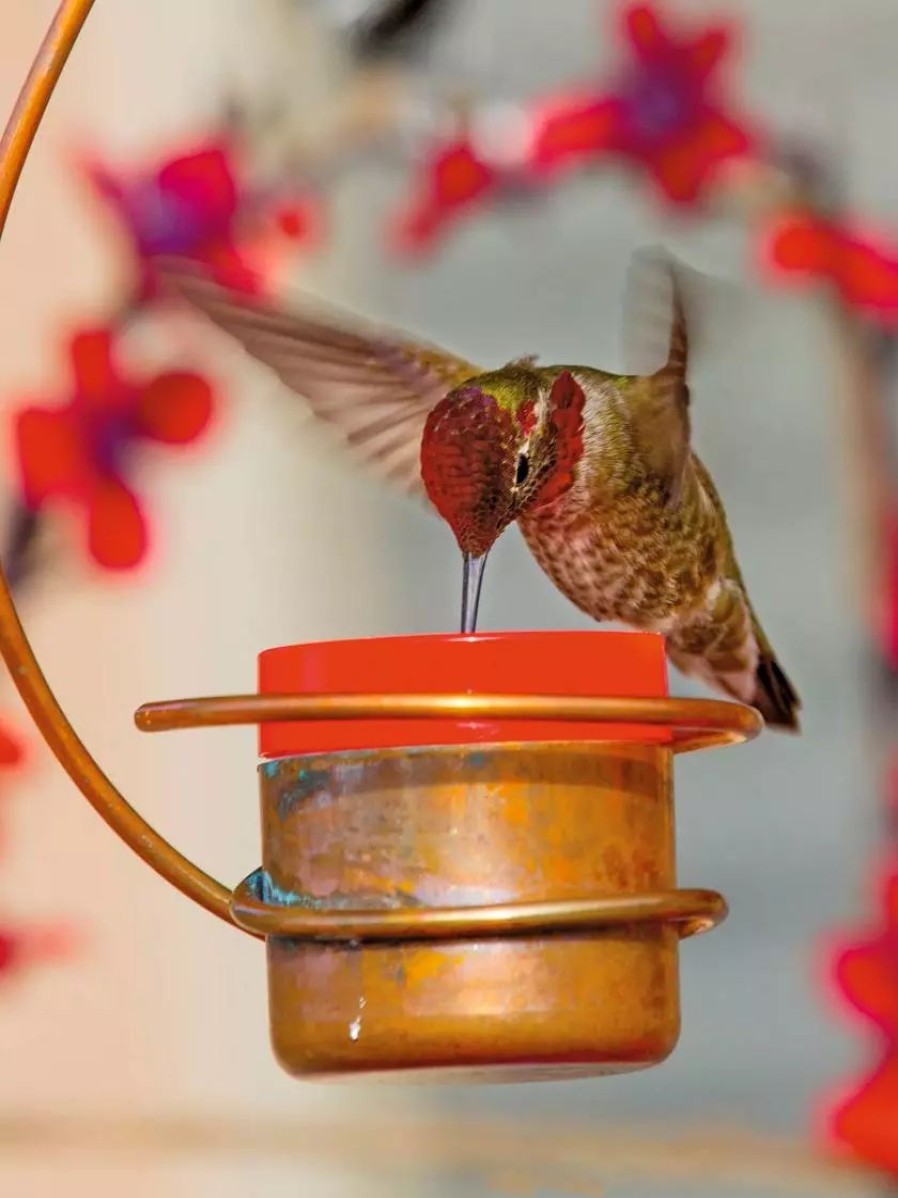 Backyard Habitat * | Gsc Copper Hummingbird Feeder