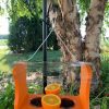 Backyard Habitat * | Gsc Birds Choice Oriole Feeder