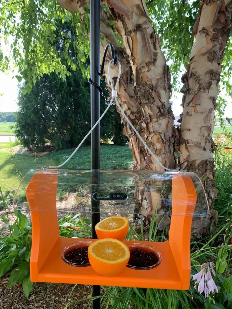 Backyard Habitat * | Gsc Birds Choice Oriole Feeder