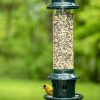 Backyard Habitat * | Gsc Brome Squirrel Buster Plus Bird Feeder