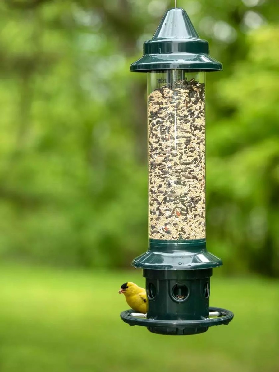 Backyard Habitat * | Gsc Brome Squirrel Buster Plus Bird Feeder