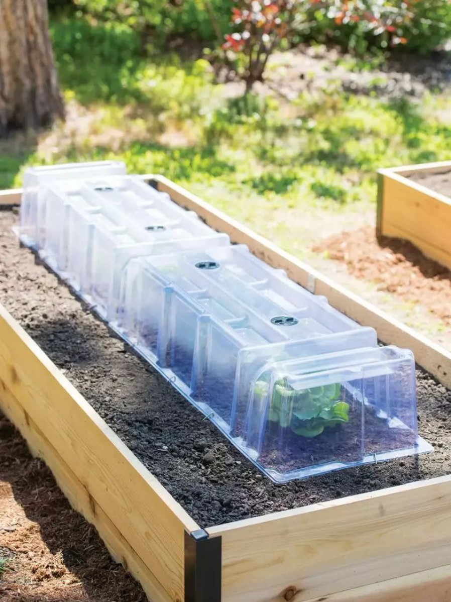 Season Extenders * | Gsc Cool Weather Row Cloches Set