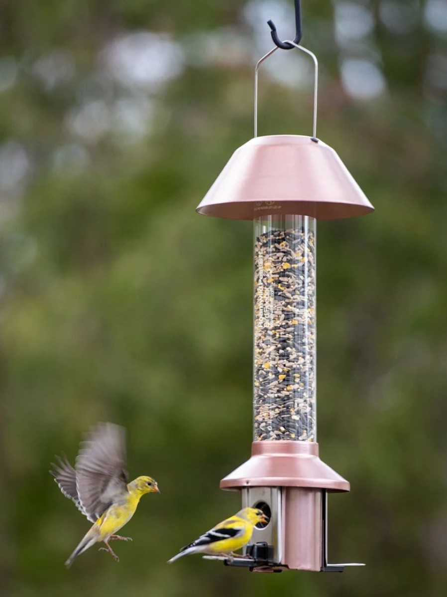 Backyard Habitat * | Gsc Roamwild Pestoff Squirrel Proof Bird Feeder Copper