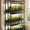 Indoor Garden * | Gsc 3-Tier Sunlite Garden