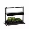 Indoor Garden * | Gsc Compact Tabletop Sunlite Garden