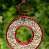 Backyard Habitat * | Gsc Circle Fly-Thru Bird Feeder With A Ruby Red Finish