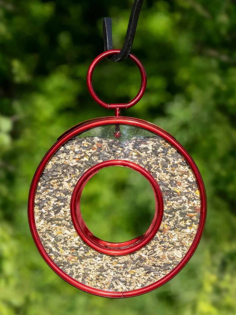 Backyard Habitat * | Gsc Circle Fly-Thru Bird Feeder With A Ruby Red Finish