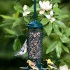 Backyard Habitat * | Gsc Brome Squirrel Buster Mini Bird Feeder