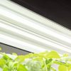 Indoor Garden * | Gsc Led Sunlite High Intensity Fixture