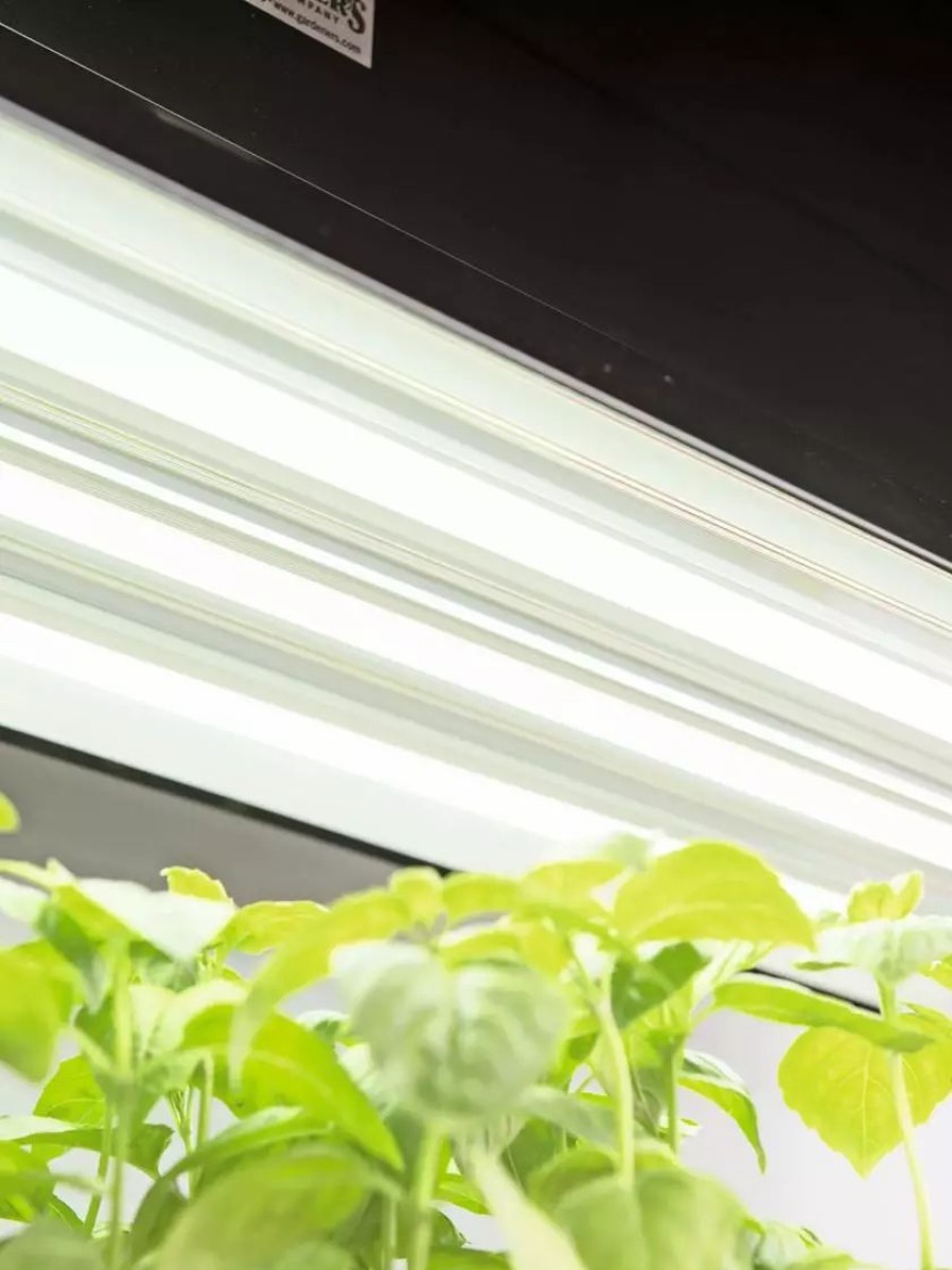 Indoor Garden * | Gsc Led Sunlite High Intensity Fixture