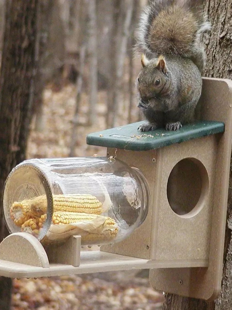 Backyard Habitat * | Gsc Birds Choice Squirrel Jar Feeder