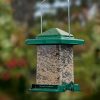 Backyard Habitat * | Gsc Easy View Squirrel-Proof Birdfeeder