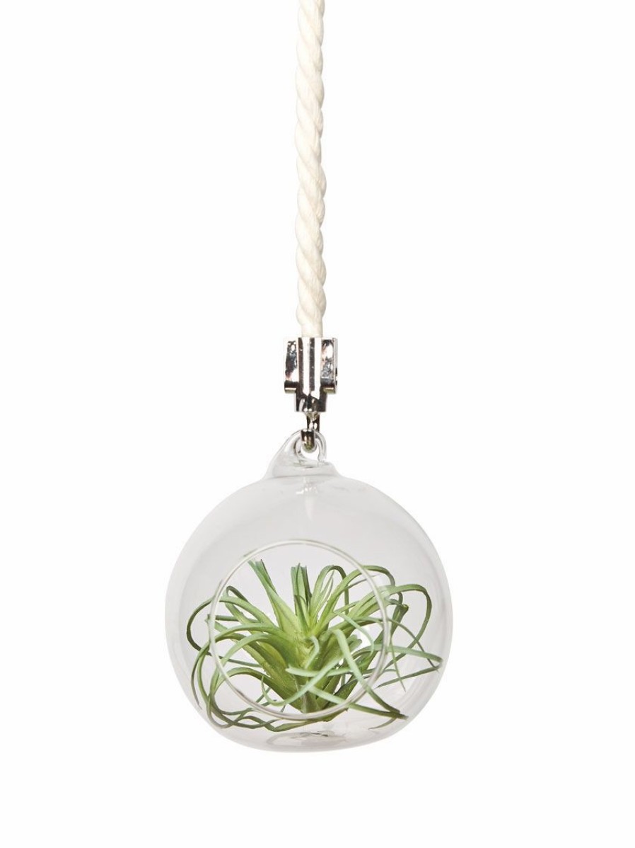 Indoor Garden * | Gsc Mini Blown-Glass Hanging Terrarium, Set Of 2