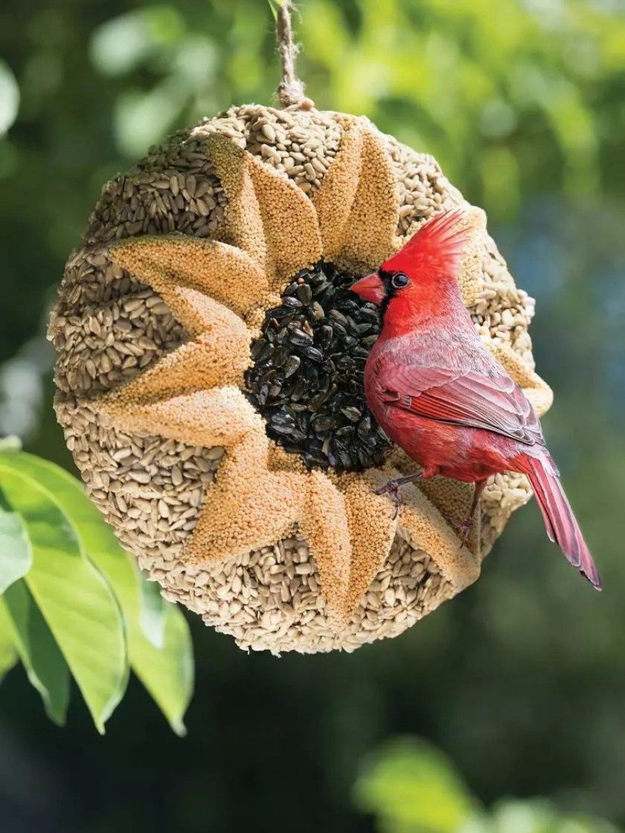 Backyard Habitat * | Gsc Songbird Tweets Sunflower Wreath