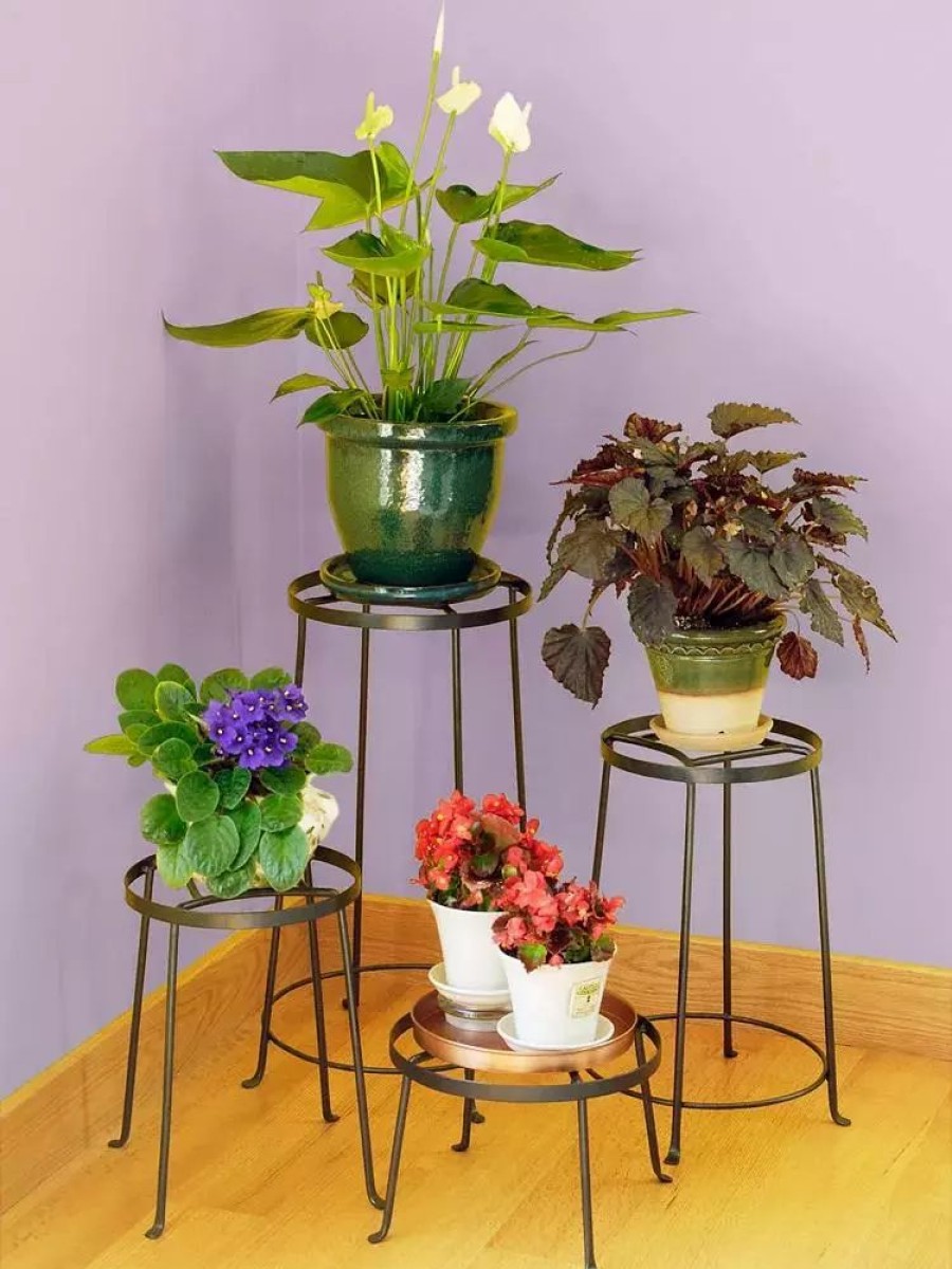 Indoor Garden * | Gsc Achla Designs Argyle Plant Stand, 12